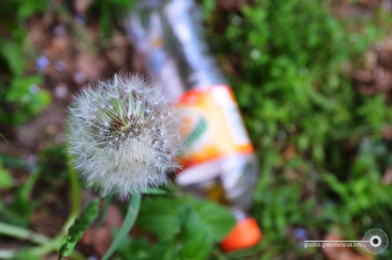 У лесапарк Румлёва ўключылі новы ўчастак лесу, але найпрыгажэйшыя месцы патанаюць у смецці