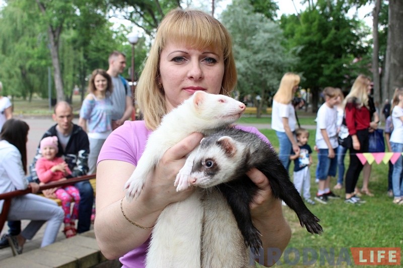 "Сабакі з катамі і побач не стаяць". У парку Жылібера знаёмілі гродзенцаў з тхарамі "Сабакі з катамі і побач не стаяць". У парку Жылібера знаёмілі гродзенцаў з тхарамі