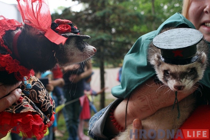 "Сабакі з катамі і побач не стаяць". У парку Жылібера знаёмілі гродзенцаў з тхарамі "Сабакі з катамі і побач не стаяць". У парку Жылібера знаёмілі гродзенцаў з тхарамі