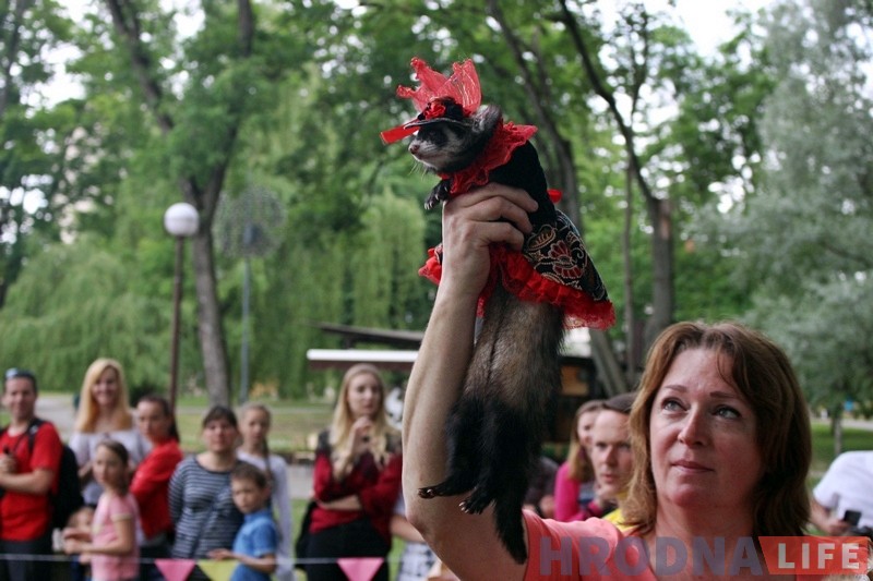 "Сабакі з катамі і побач не стаяць". У парку Жылібера знаёмілі гродзенцаў з тхарамі "Сабакі з катамі і побач не стаяць". У парку Жылібера знаёмілі гродзенцаў з тхарамі