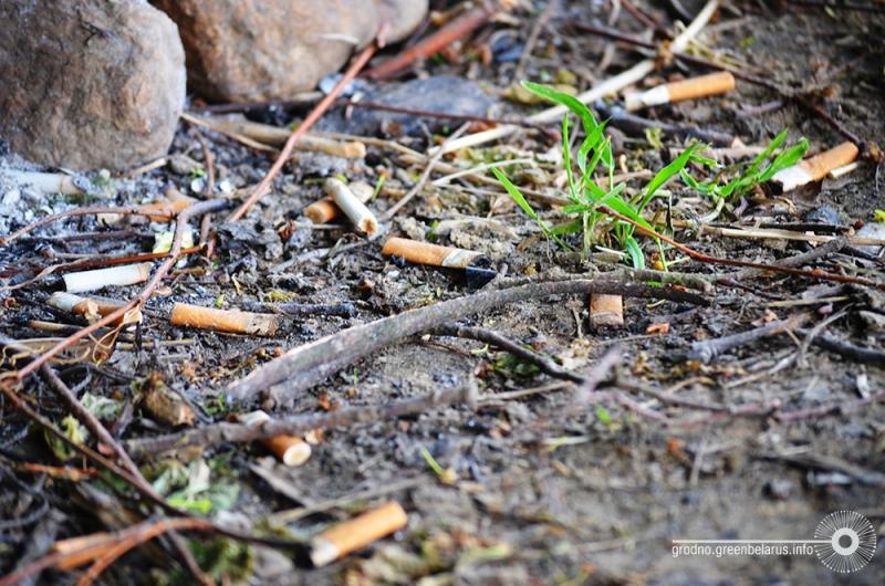 У лесапарк Румлёва ўключылі новы ўчастак лесу, але найпрыгажэйшыя месцы патанаюць у смецці