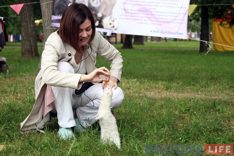 "Сабакі з катамі і побач не стаяць". У парку Жылібера знаёмілі гродзенцаў з тхарамі "Сабакі з катамі і побач не стаяць". У парку Жылібера знаёмілі гродзенцаў з тхарамі