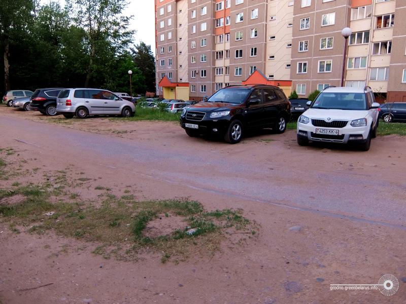 Чаму ў горадзе дрэнна расце трава і навошта яе абавязкова трэба захоўваць