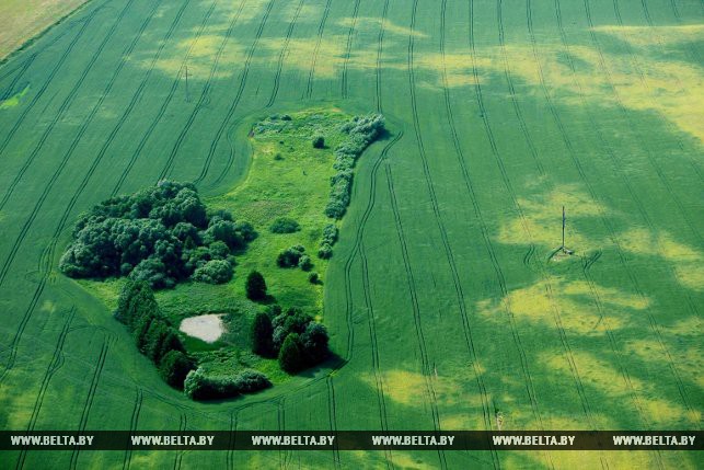 Фотарэпартаж: Гродзеншчына з вышыні птушынага палёту