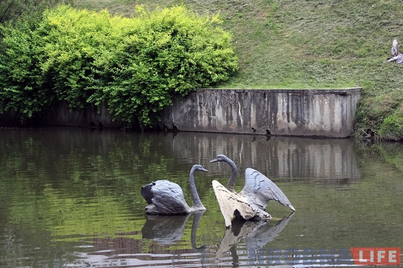 Кампазіцыю з бронзавымі лебедзямі ў цэнтры Гродна аднавілі, але ці надоўга?