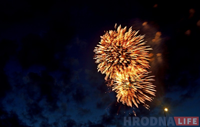 Почему в Новый год лучше воздержаться от запуска фейерверков, чтобы не навредить животным и окружающей среде