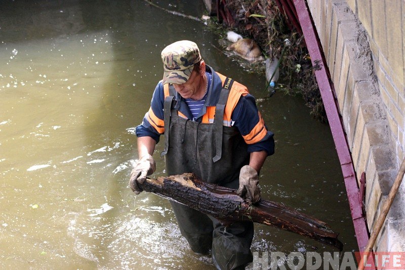 Ад мёртвых качак да бутэлек з гарэлкай: што знаходзяць у Гараднічанцы ў цэнтры Гродна