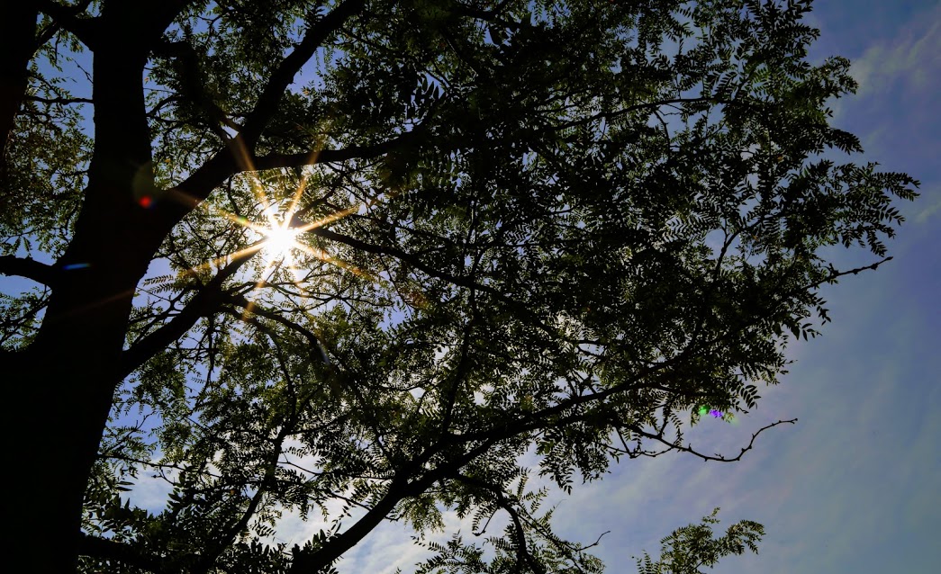 "Пярсцёнак з дыямантам". Гродзенка сфатаграфавала "вялікае амерыканскае зацьменне"