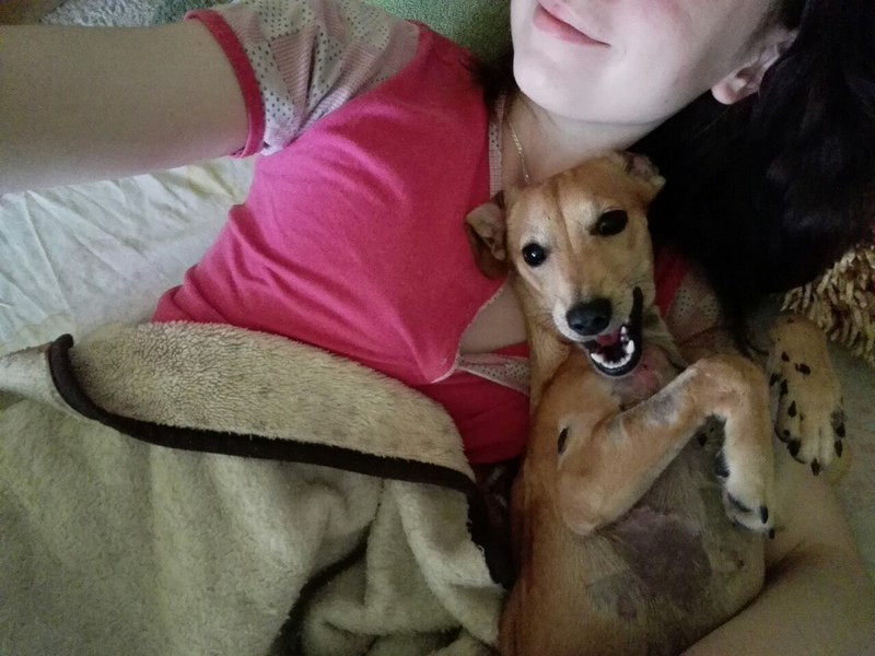 Гродзенскія валанцёры пяць гадзін капалі тунэль каб уратаваць сабаку