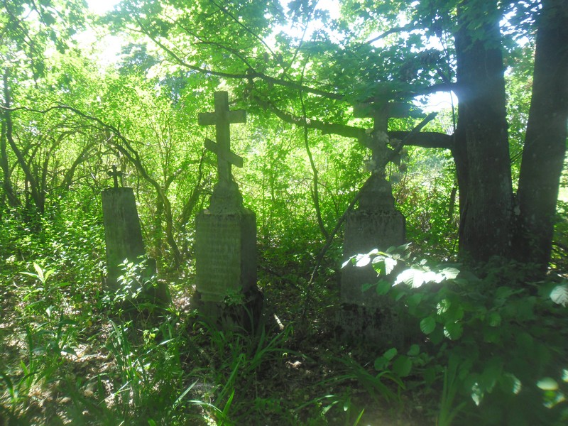Гродзенскія гісторыкі хочуць стварыць анлайн-карту спаленых фашыстамі вёсак