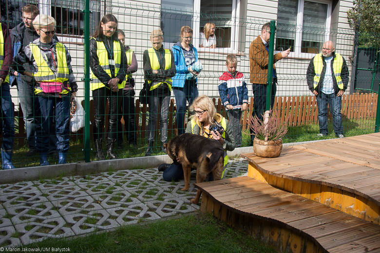 Ці з'явіцца пляцоўка для сабак на Дзевятоўцы? Жыхары раёна гатовы ёй заняцца Ці з'явіцца пляцоўка для сабак на Дзевятоўцы? Жыхары раёна гатовы ёй заняцца
