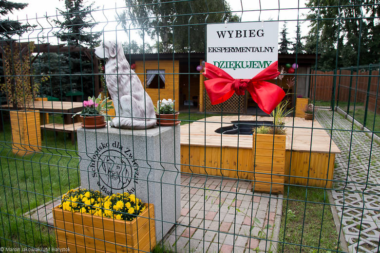 Ці з'явіцца пляцоўка для сабак на Дзевятоўцы? Жыхары раёна гатовы ёй заняцца Ці з'явіцца пляцоўка для сабак на Дзевятоўцы? Жыхары раёна гатовы ёй заняцца