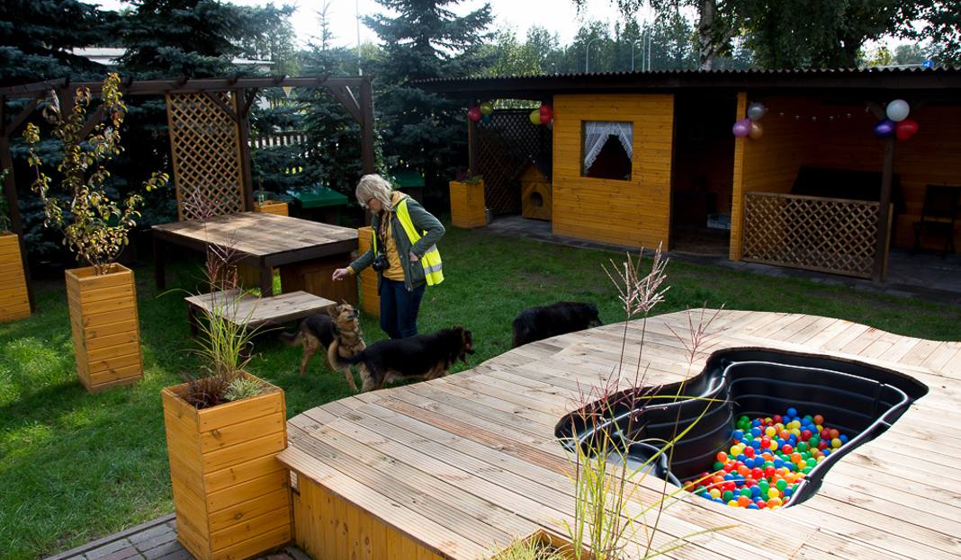 Ці з'явіцца пляцоўка для сабак на Дзевятоўцы? Жыхары раёна гатовы ёй заняцца Ці з'явіцца пляцоўка для сабак на Дзевятоўцы? Жыхары раёна гатовы ёй заняцца