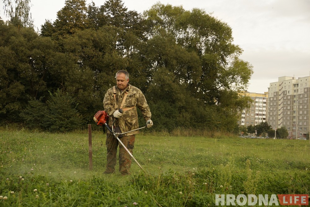 Появится ли площадка для собак на Девятовке? Жители района готовы ей заняться