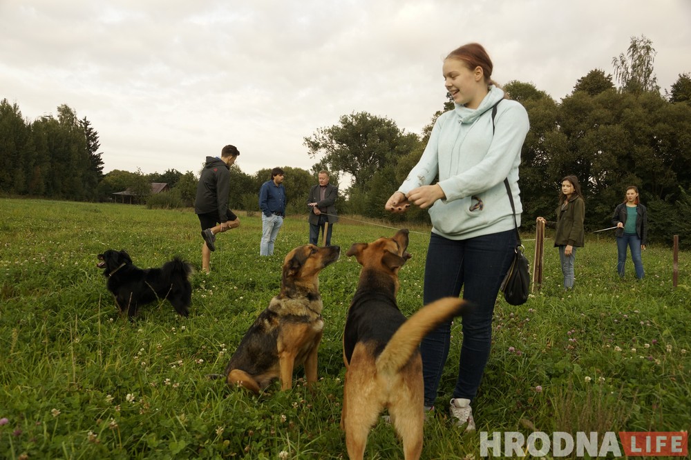 Ці з'явіцца пляцоўка для сабак на Дзевятоўцы? Жыхары раёна гатовы ёй заняцца Ці з'явіцца пляцоўка для сабак на Дзевятоўцы? Жыхары раёна гатовы ёй заняцца