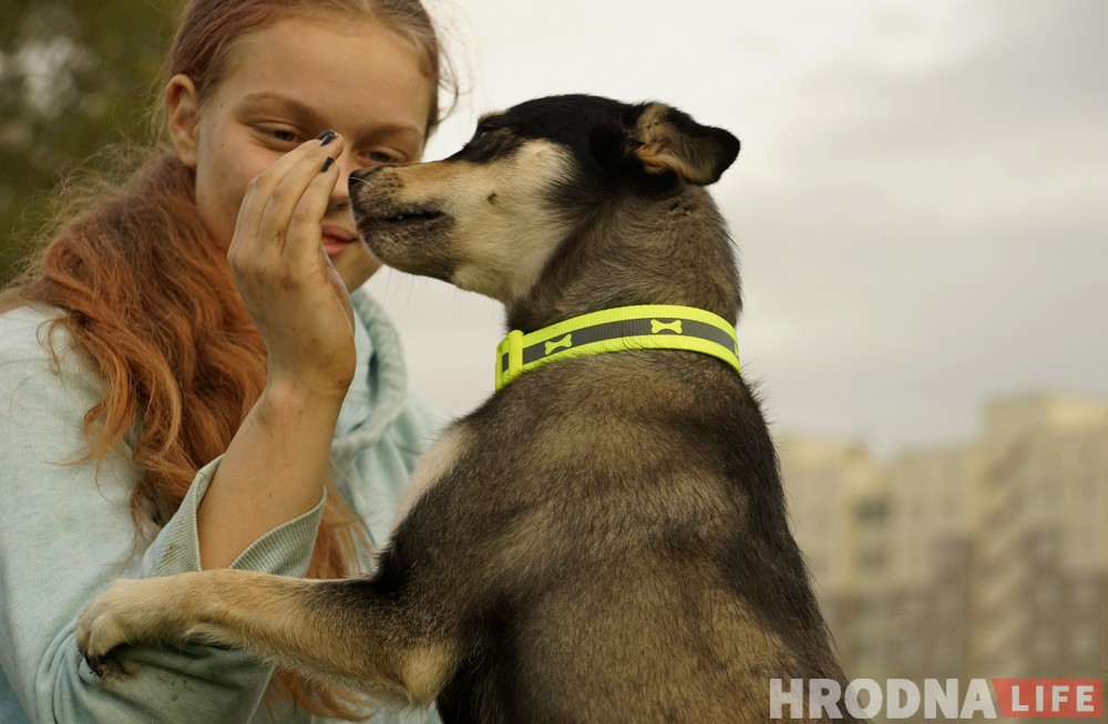 Появится ли площадка для собак на Девятовке? Жители района готовы ей заняться