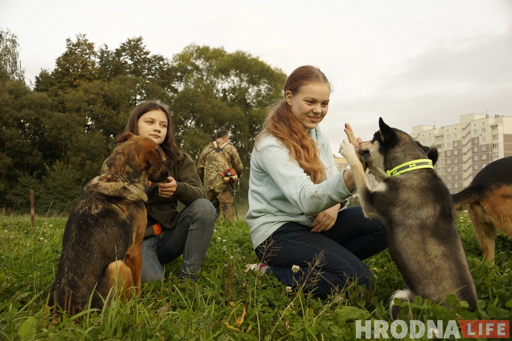 Ці з'явіцца пляцоўка для сабак на Дзевятоўцы? Жыхары раёна гатовы ёй заняцца Ці з'явіцца пляцоўка для сабак на Дзевятоўцы? Жыхары раёна гатовы ёй заняцца