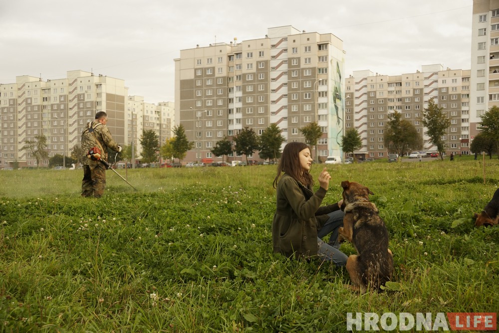 Ці з'явіцца пляцоўка для сабак на Дзевятоўцы? Жыхары раёна гатовы ёй заняцца Ці з'явіцца пляцоўка для сабак на Дзевятоўцы? Жыхары раёна гатовы ёй заняцца