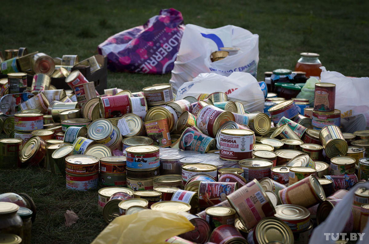 "Паглядзіце - кіламетры людзей". Як у Белавежскай пушчы працягваюць шукаць зніклага хлопчыка