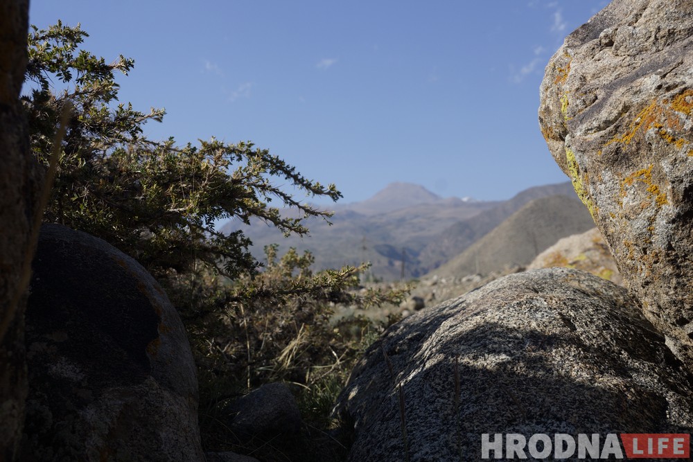 Каменная гісторыя Кыргызстана. Як жыве музей пятрогліфаў