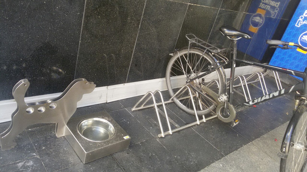 Появится ли площадка для собак на Девятовке? Жители района готовы ей заняться