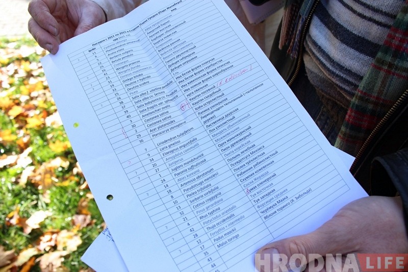 Нечаканая знаходка ў парку Жылібера: на месцы скрадзеных ядомых каштанаў растуць новыя