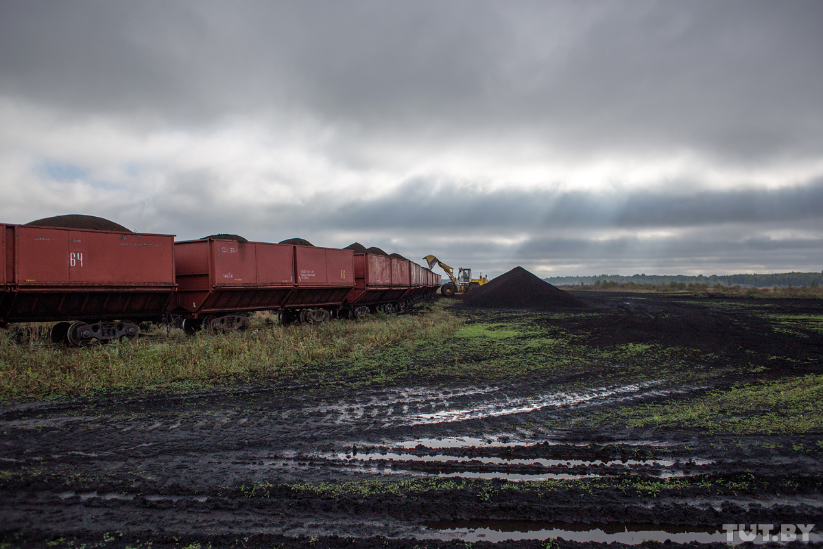 Вялікая маленькая чыгунка. Як вузкакалейка торфазавода возіць турыстаў па чорных палях