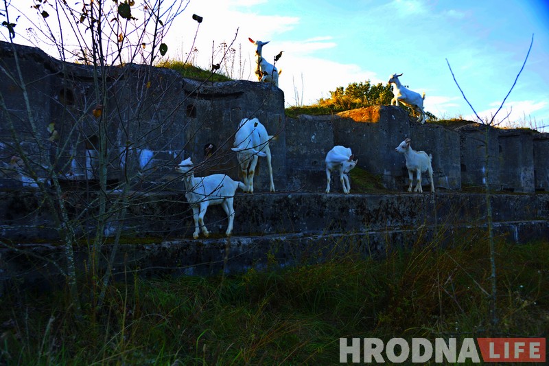 “Я закаханы ў трэці форт”. Аўтар новага пуцяводніка па фартах расказаў пра даследаванні Гродзенскай крэпасці