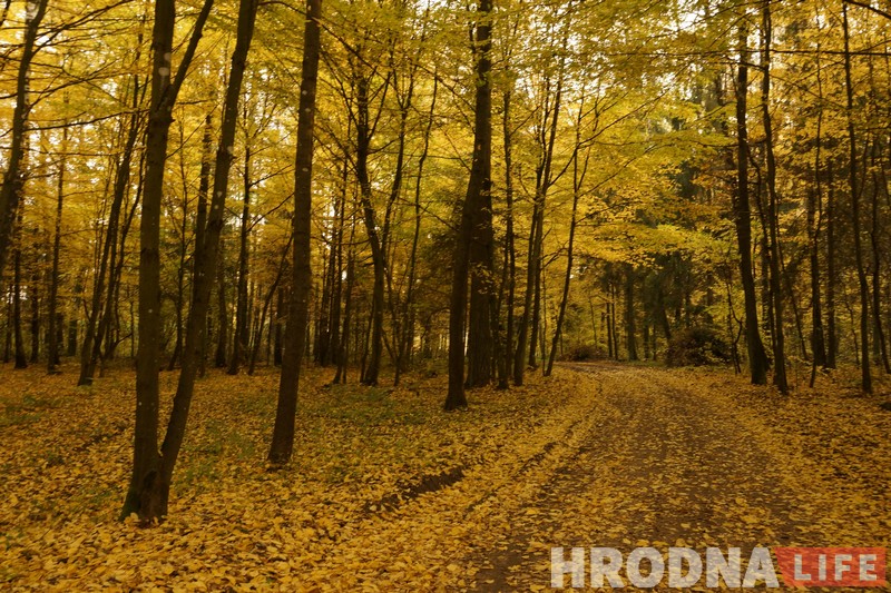 Памятны знак у гонар паўстанцаў Каліноўскага з’явіўся побач з лесам імя Быкава