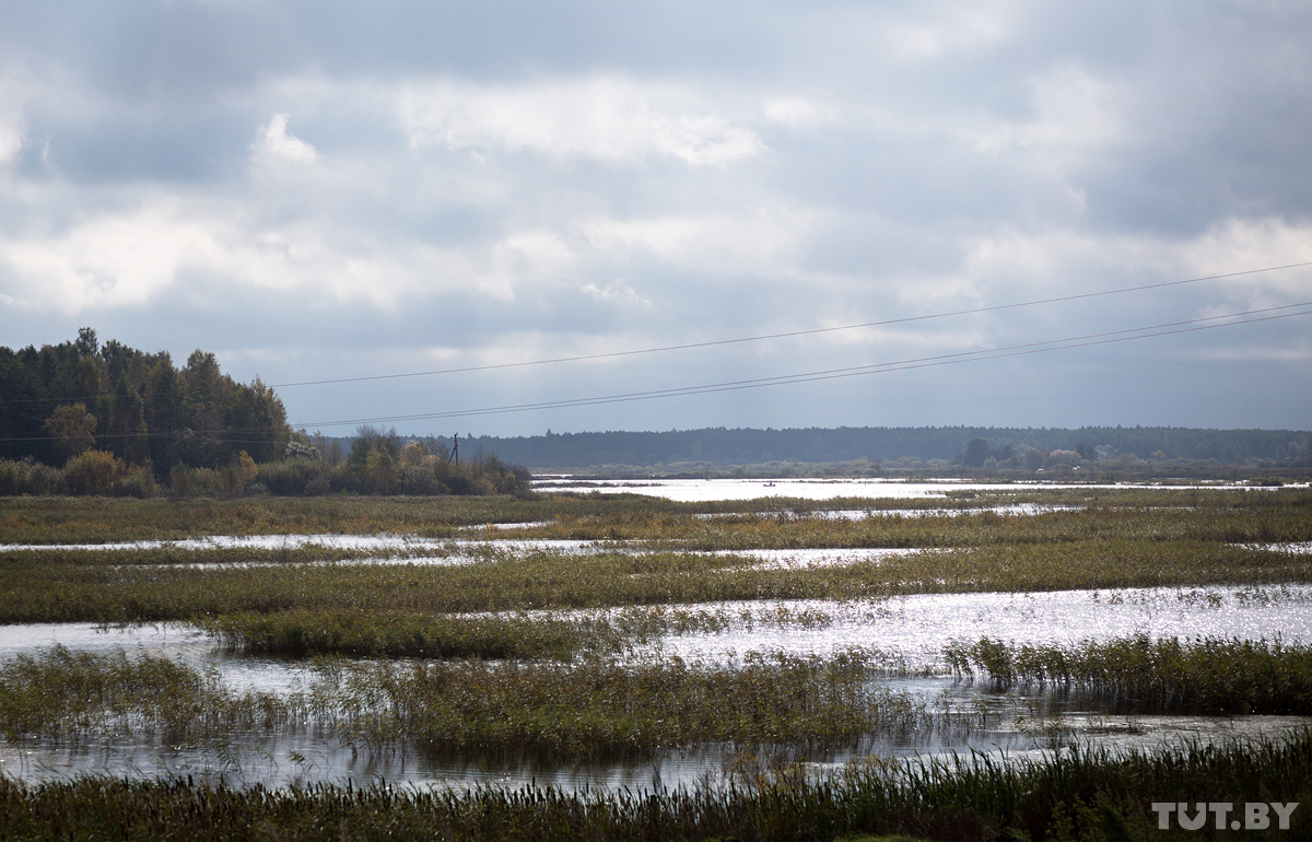 Вялікая маленькая чыгунка. Як вузкакалейка торфазавода возіць турыстаў па чорных палях