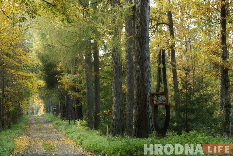Памятны знак у гонар паўстанцаў Каліноўскага з’явіўся побач з лесам імя Быкава