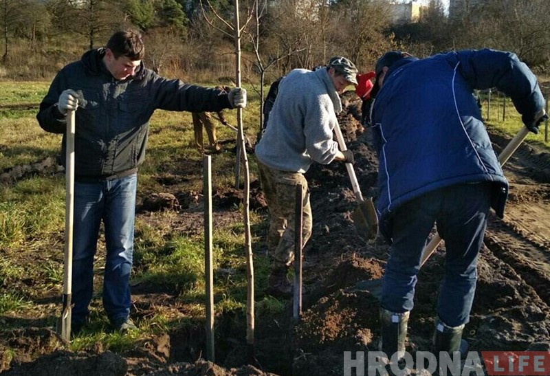 Суботнік у Гродне: прыбіралі лісце і саджалі дрэвы Суботнік у Гродне: прыбіралі лісце і саджалі дрэвы