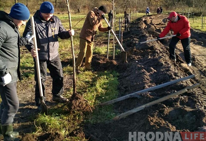 Суботнік у Гродне: прыбіралі лісце і саджалі дрэвы Суботнік у Гродне: прыбіралі лісце і саджалі дрэвы