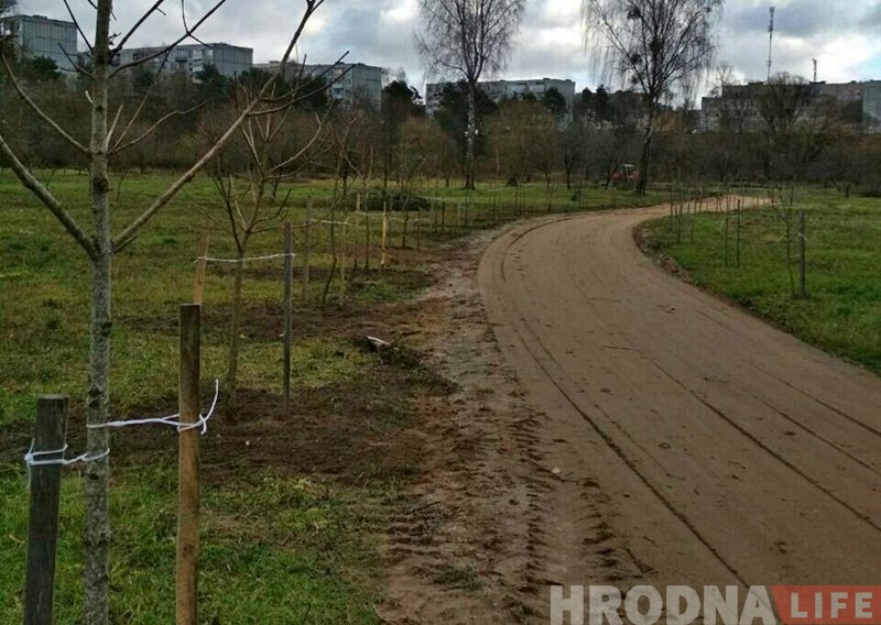 Суботнік у Гродне: прыбіралі лісце і саджалі дрэвы Суботнік у Гродне: прыбіралі лісце і саджалі дрэвы