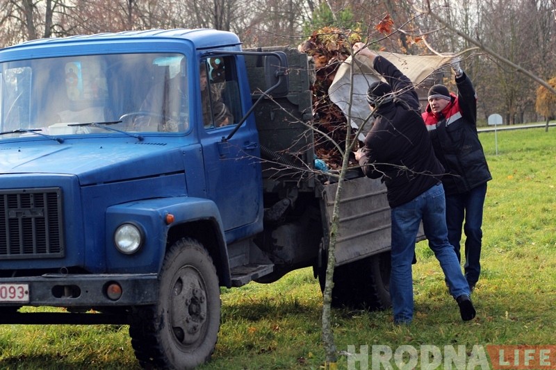 Суботнік у Гродне: прыбіралі лісце і саджалі дрэвы Суботнік у Гродне: прыбіралі лісце і саджалі дрэвы