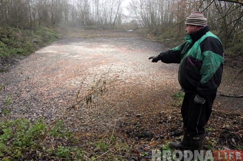 Пенсіянер, якому сабакі загрызлі козаў, паказаў, дзе жывуць і чым харчуюцца здзічэлыя жывёлы