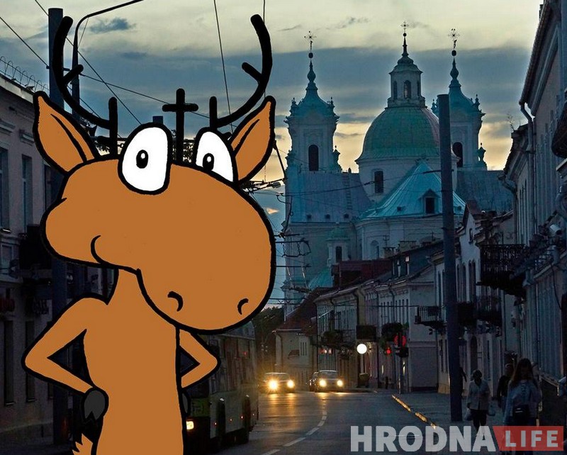 Нашчадак аленя Святога Губерта знайшоўся ў Гродне