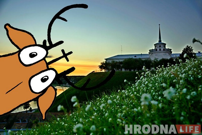 Нашчадак аленя Святога Губерта знайшоўся ў Гродне