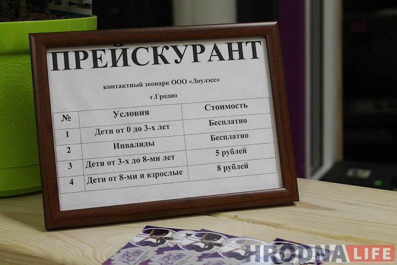 Пяцізоркавая гасцініца ці пакуты? У Гродне адчыніўся кантактны заапарк: разбіраем за і супраць