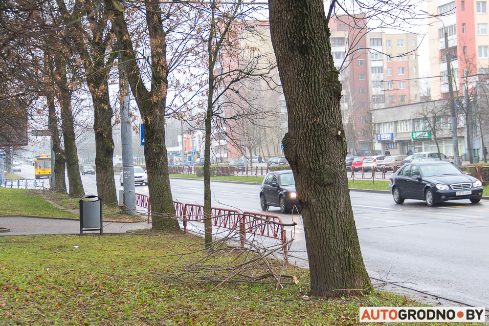 На улице Горького убрали нерегулируемый переход. Местные жители против