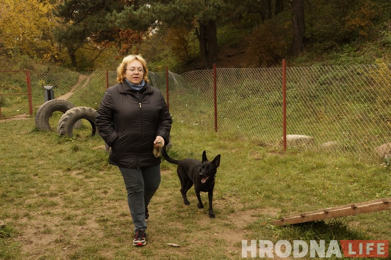 “Не забаўка і не дзіця”. Як выхаваць сабаку-кампаньёна на карысць сабе і людзям