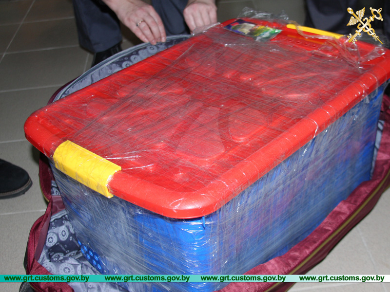 Гродзенскія мытнікі знайшлі ў кацельні цягніка Калінінград-Масква дзвюх вялікіх яшчарак