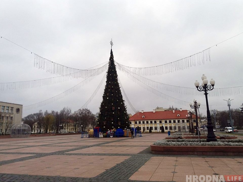 Конусы ці дрэўцы? Як выглядаюць цэнтральныя елкі ў Гродне і суседніх гарадах