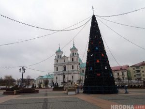 Конусы ці дрэўцы? Як выглядаюць цэнтральныя елкі ў Гродне і суседніх гарадах Конусы ці дрэўцы? Як выглядаюць цэнтральныя елкі ў Гродне і суседніх гарадах