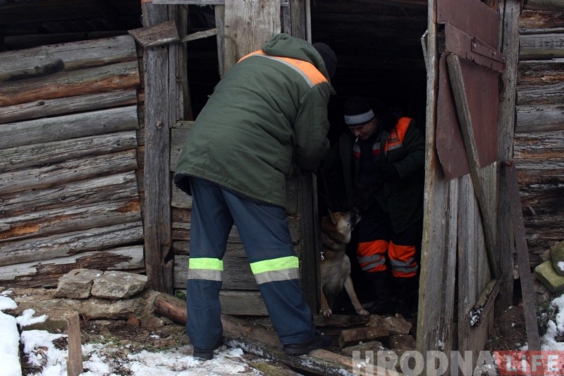 Здзічэлага сабаку, якога злавілі на Старамалышчынскай, усыпілі. САГ: гэта была неабходная мера Здзічэлага сабаку, якога злавілі на Старамалышчынскай, усыпілі. САГ: гэта была неабходная мера