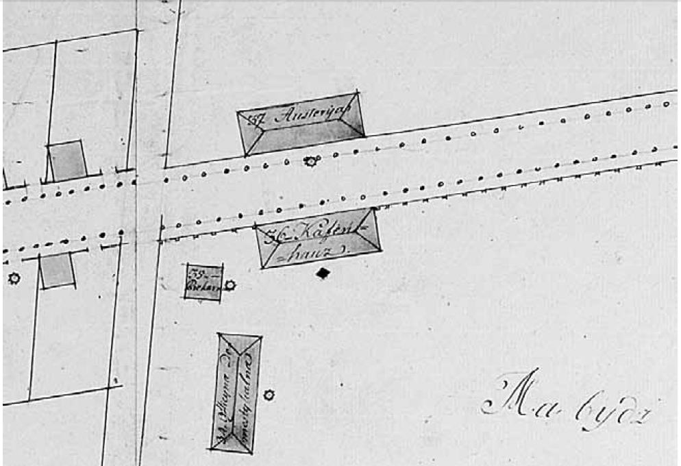Гродна - беларуская сталіца кавы. 5 аргументаў "за" ад экспертаў