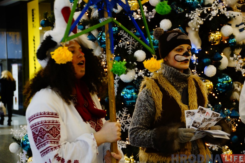 Фотафакт: Мішка і каза калядавалі ў гандлёвым цэнтры для дзяўчынкі з дзіцячага хоспіса Фотафакт: Мішка і каза калядавалі ў гандлёвым цэнтры для дзяўчынкі з дзіцячага хоспіса