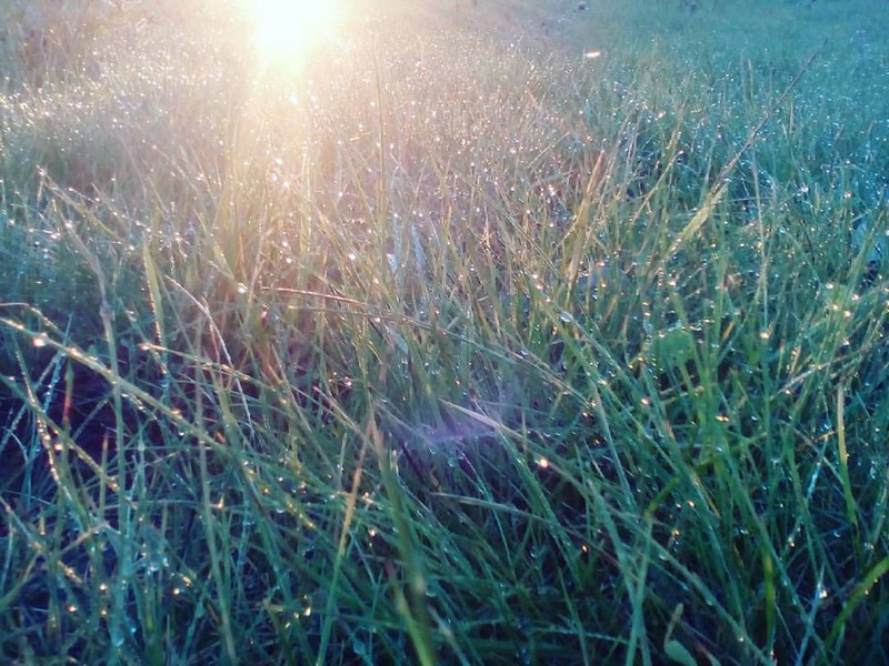 Бачна зоры і Польшча пад бокам: топ-7 плюсаў жыцця на Альшанцы