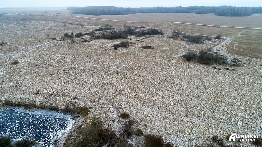 У Ашмянскі раён завезлі благародных аленяў: прыгожыя фота