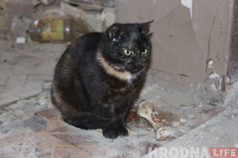 "Галодным я яшчэ не засынаў". Валацуга распавядае пра жыццё бяздомных у Гродне "Галодным я яшчэ не засынаў". Валацуга распавядае пра жыццё бяздомных у Гродне